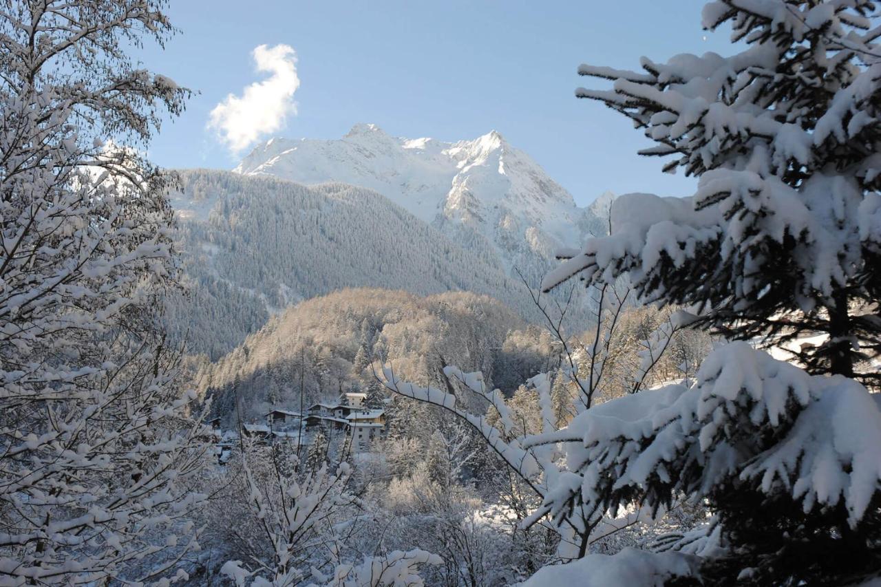 Hotel Ferienhof Oblasser Mayrhofen Exterior foto